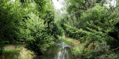 Gdzie zjeść w Radomiu? Odkryj TOP miejsca na każdą okazję!