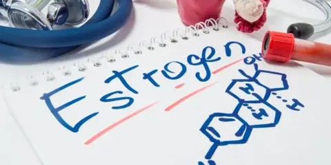 Stetoskop, model narządów rodnych i probówka krwi obok notatnika z napisem "Estrogen" i jego wzorem chemicznym.
