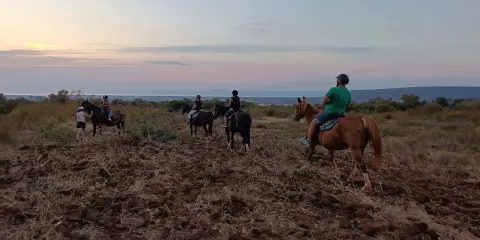 Un gruppo di persone fa una **passeggiata a cavallo in Puglia** al tramonto, godendosi il paesaggio collinare e il mare in lontananza.