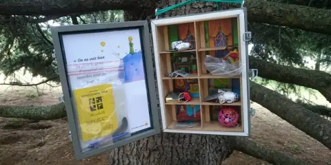 Skrzynka geocachingowa na drzewie z cytatem z "Małego Księcia" i drobnymi skarbami. To właśnie geocaching co to za zabawa!
