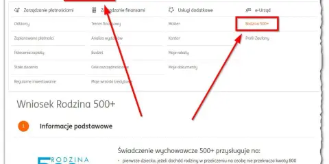 Wniosek Rodzina 500+ w ING. Czy 800 plus wlicza się do dochodu? Informacje o świadczeniu.
