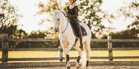 Eine Reiterin in Reithose und Helm reitet ein weißes Pferd im **Halsring reiten**.