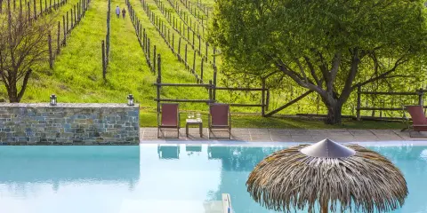 Piscina e vigneti in un agriturismo in Piemonte, ideale per un pranzo rilassante.