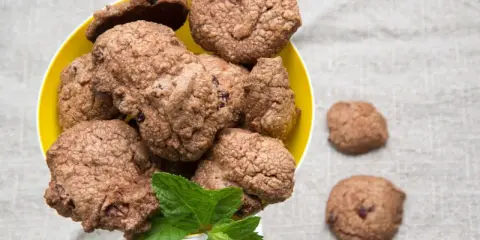 Galleta de chocolate con trozos de arándanos, perfecta para postres para picnic.