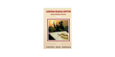 Okładka książki "Cierpienia młodego Wertera" z rysunkiem i streszczeniem.