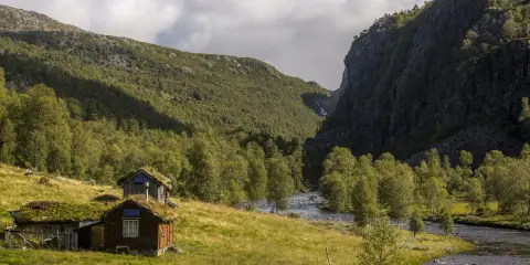 Domy z zielonymi dachami w dolinie, otoczone lasem i górami skandynawskimi. Rzeka płynie obok.