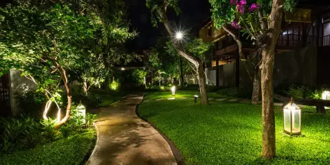 Chemin sinueux éclairé par des lanternes, la température de la lumière crée une ambiance chaleureuse dans ce jardin luxuriant la nuit.