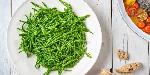 Piatto bianco colmo di asparagi di mare freschi e croccanti, pronti per essere gustati.