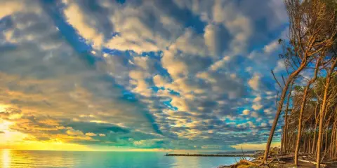 Tramonto su una spiaggia toscana, con pini marittimi e un mare calmo. Un'immagine perfetta per scoprire località mare toscana economiche.