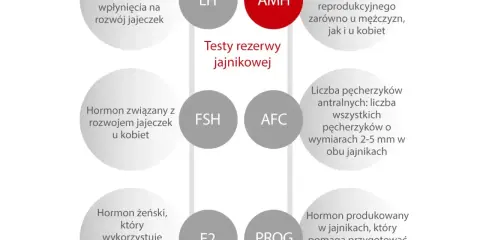AMH badanie: kluczowy hormon w ocenie rezerwy jajnikowej, marker płodności u obu płci. Schemat przedstawia powiązane hormony i wskaźniki.