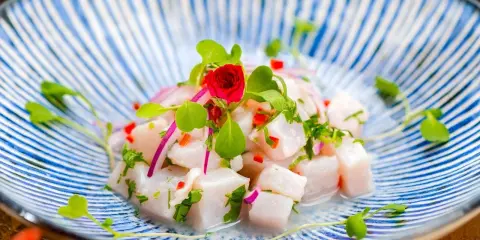 Pyszne ceviche z kawałków białej ryby, czerwonej cebuli, papryczki chili i ziół, udekorowane kiełkami i małą czerwoną różą, na niebiesko-białym talerzu.