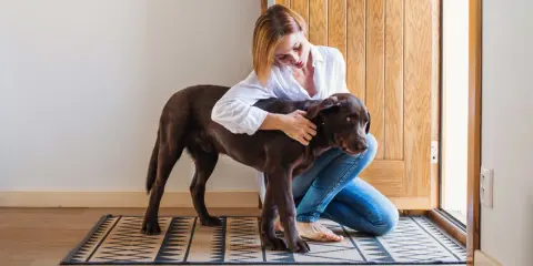 Une femme accroupie enlace tendrement son chien brun. Leur **relation fusionnelle avec son chien** est palpable dans ce moment de complicité.