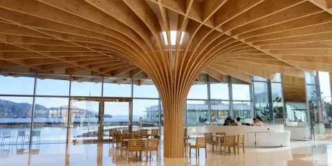 Interno moderno con soffitto in legno curvo, un esempio di architettura giapponese. Tavoli e sedie in legno, vista sul mare.