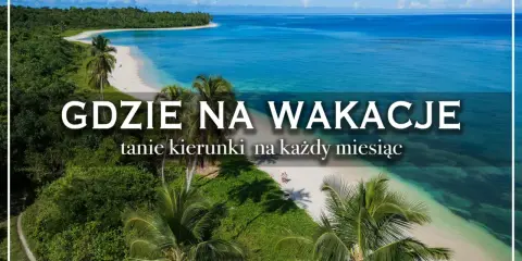 Rajska plaża z palmami i turkusową wodą. Idealne miejsce, by zastanowić się, gdzie na wakacje.