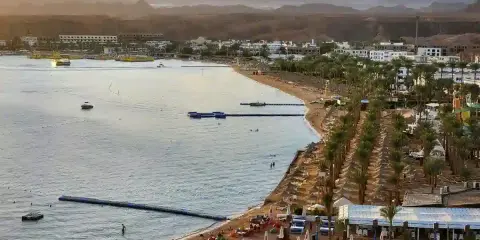 Piękna plaża z palmami i górami w tle. Czy to Hurghada czy Sharm El Sheikh?