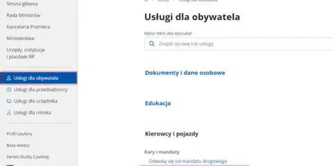 Gdzie sprawdzić punkty karne? Online, na policji krok po kroku