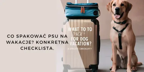 Uśmiechnięty piesek obok walizki i torby podróżnej. Czas na wakacje z psem! Sprawdź, co spakować.