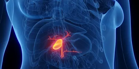 Anatomical rendering of a human torso showing the gallbladder highlighted in yellow and red, indicating potential rak pęcherzyka żółciowego.