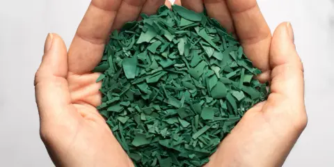 Mains tenant une poignée de paillettes vertes, résultat d'une spiruline culture.