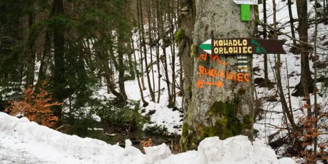 Znak szlaku wskazuje drogę na Rudawiec. Śnieg i las tworzą zimowy krajobraz.