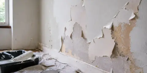 Farba odchodzi przy malowaniu wałkiem, odsłaniając stare warstwy tynku. Obok taca z wałkiem i szpachelka.