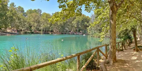 La albufera de Anna, con su agua turquesa y rodeada de árboles frondosos, invita a un paseo tranquilo. Patos nadan en la superficie.