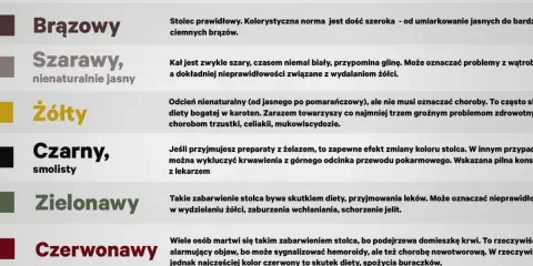 Kolor stolca: brązowy to norma, szary może oznaczać problemy z wątrobą. Żółty, czarny, zielony i czerwony mogą wskazywać na różne schorzenia lub dietę. Co to jest kupa? To wskaźnik zdrowia.