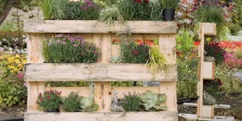 Jardinière en palette accueillant des fleurs roses et violettes, des graminées et des succulentes. Un jardin vertical original et écologique.