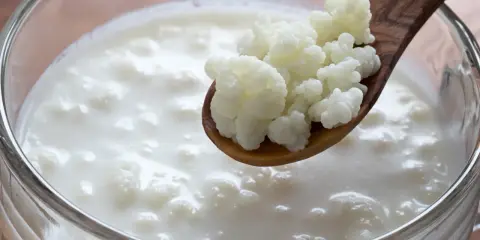 Ziarna kefirowe na drewnianej łyżce nad mlecznym napojem w szklance.