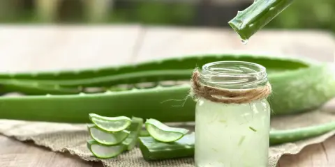 Goutte de gel d'aloe vera tombant dans un verre, prêt à être bu. Des tranches d'aloe vera sont disposées à côté.