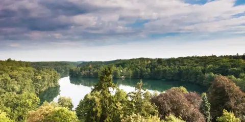 Malowniczy krajobraz z jeziorem i lasem w województwie lubuskim.