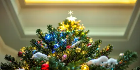 Un sapin de Noël décoré de boules colorées, de guirlandes lumineuses et d'une étoile scintillante. Un guide pour savoir comment faire un beau sapin.