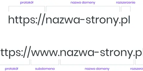 Domena internetowa: Co to jest? Jak wybrać i dlaczego jest kluczowa?