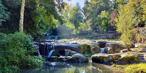 Cascata e rocce muschiose in un bosco lussureggiante, un angolo incantevole della Tuscia Viterbese baciato dal sole.