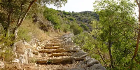 Sendero de piedra en ascenso, rodeado de vegetación mediterránea. Un camino ideal para rutas senderismo Alicante.