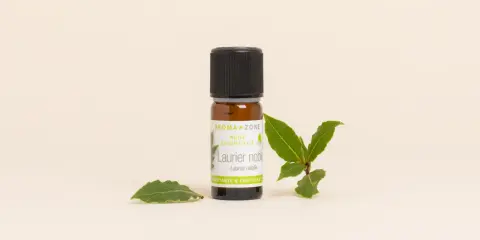 Flacon d'huile essentielle de laurier noble, entouré de feuilles fraîches. Un trésor purifiant et fortifiant.