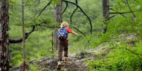 Gdzie z dzieckiem w góry? Odkryj idealne szlaki i atrakcje dla rodzin!