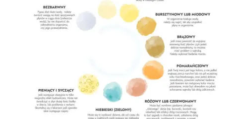 Bezbarwny mocz jak woda świadczy o nadmiernym nawodnieniu. Prawidłowy kolor to jasnosłomkowy.
