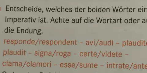 Aufgabe 2a: Finde den **Imperativ latein**! Achte auf Wortart und Endung bei: responde/respondent, avi/audi, plaudite/plaudit, signa/roga, certe/videte, clama/clamori, esse/sume, intrate/ante.