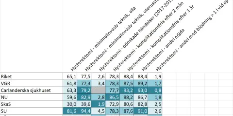 Tabell visar data om hysterektomi, inklusive komplikationer och nöjdhet, med fokus på hormonrubbning efter hysterektomi.