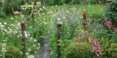 Un charmant jardin de curé, sauvage et fleuri, avec un chemin de dalles mouillées, des marguerites, des campanules et une table de bistrot.
