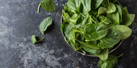 Frischer Spinat in einer Schüssel, bereit für ein klassisches Spinat Rezept.