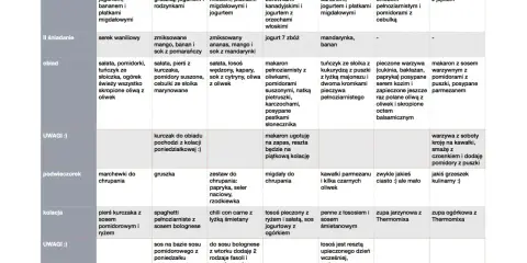 Przykładowe menu na cały tydzień: owsianka, sałatki, makarony, ryby i warzywa. Inspiracja do stworzenia własnego jadłospisu.