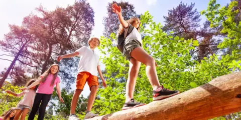 Niños en un campamento de verano practicando equilibrio sobre un tronco caído en un bosque soleado.