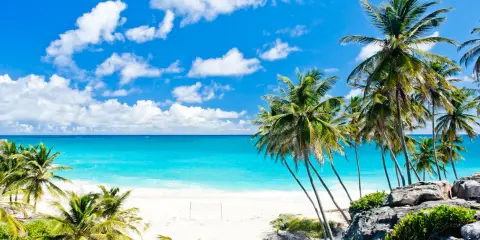 Traumhafter Strand auf Barbados mit Palmen und türkisblauem Meer. Die beste Reisezeit für dieses Paradies ist jetzt!