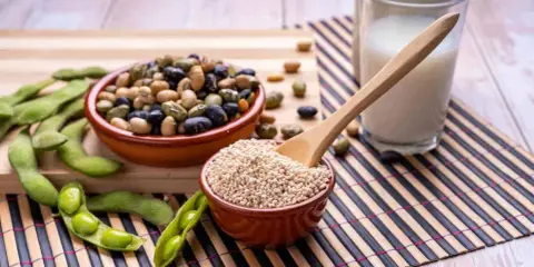 Granos de soja, edamame, leche de soja y lecitina de soja en polvo, ingredientes versátiles para una dieta saludable.