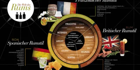 Die Welt des Rums: Infografik zeigt die Herstellung von Rum in drei Stilen: Spanisch, Französisch (aus Zuckerrohrsaft) und Britisch (aus Melasse).