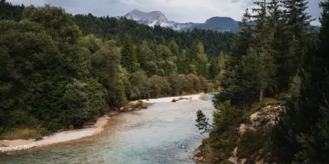 Ein Fluss mit klarem Wasser schlängelt sich durch einen Wald. Im Hintergrund erheben sich Berge unter einem bewölkten Himmel. Perfekt zum Wandern an der Isar.