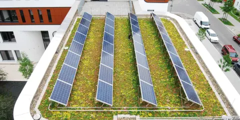 Reihen von Solarmodulen auf einem blühenden, **bewachsenen Dach** mit Blick auf eine Straße und Gebäude.