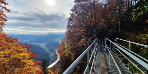 Metalowy taras widokowy na Trzy Korony w jesiennej odsłonie. Widok na dolinę Dunajca i Pieniny.